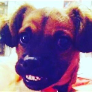 Meet your Posher, Brandon